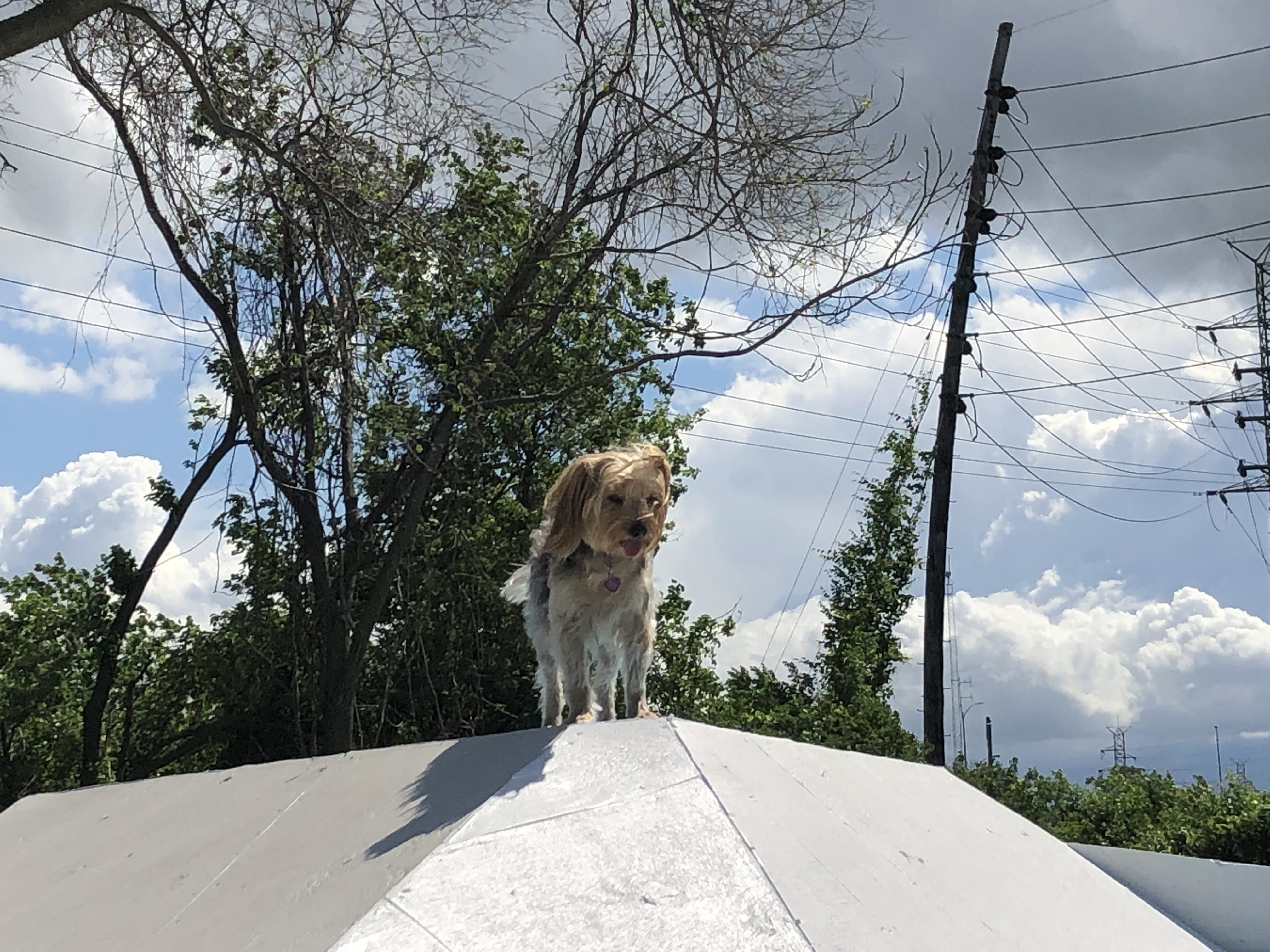 ./2022/06 - St Louis/06 - Day 6/20220526-102202158.JPG